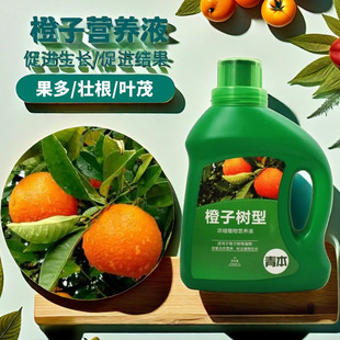 橙子树肥料专用肥营养液家用果树盆栽蔬果挂果增甜水溶肥植物通用