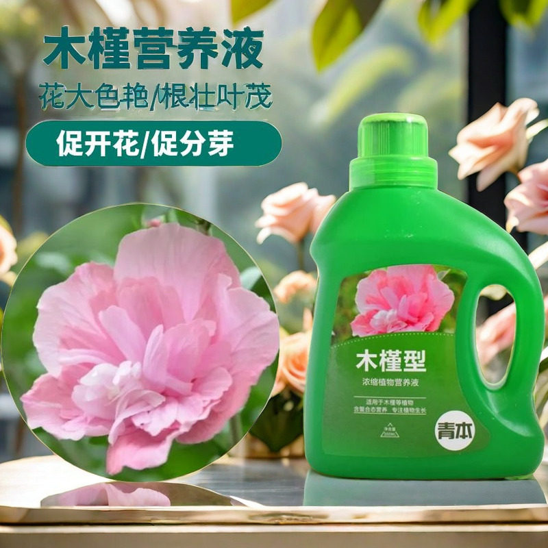 木槿花肥料木槿专用肥复合浓缩营养液花卉绿植开花养花家庭有机肥