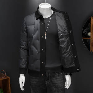 2025男冬季短款羽绒服潮流翻领欧货轻奢风休闲修身外套8756P335图片