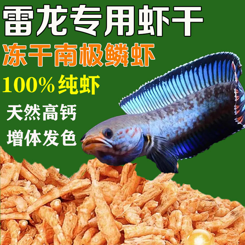 雷龙鱼饲料南极磷虾干无盐虾干银龙罗汉地图招财锦鲤增体发色鱼食