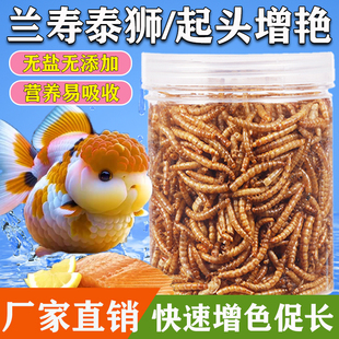 兰寿金鱼饲料泰狮锦鲤专用鱼粮高蛋白鱼食上浮型起头增色增体鱼食