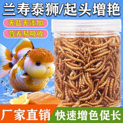 兰寿金鱼饲料泰狮锦鲤通用鱼粮