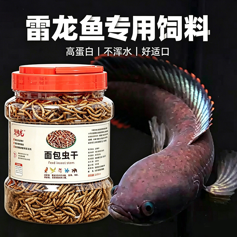 雷龙鱼饲料高蛋白面包虫黄金眼镜蛇彩虹雷龙鱼食六角恐龙鱼上浮粮