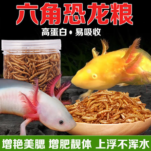 六角恐龙饲料观赏鱼粮营养高蛋白面包虫龙鱼娃娃鱼蝾螈专用增色粮