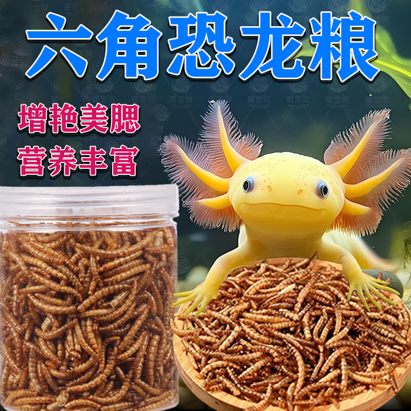 高蛋白六角恐龙鱼饲料龙鱼面包虫