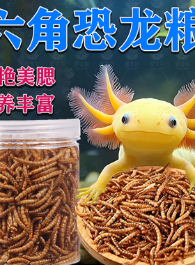 六角恐龙鱼饲料优质高蛋白面包虫干蝾螈口粮雷龙鱼观赏鱼增色鱼食