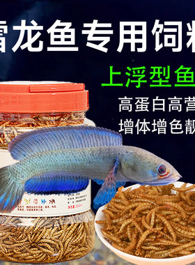 雷龙鱼饲料高蛋白面包虫增色鱼食