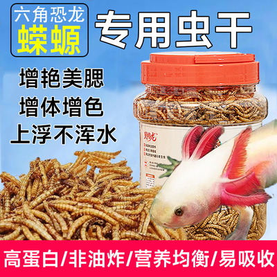 蝾螈专用粮六角恐龙鱼饲料