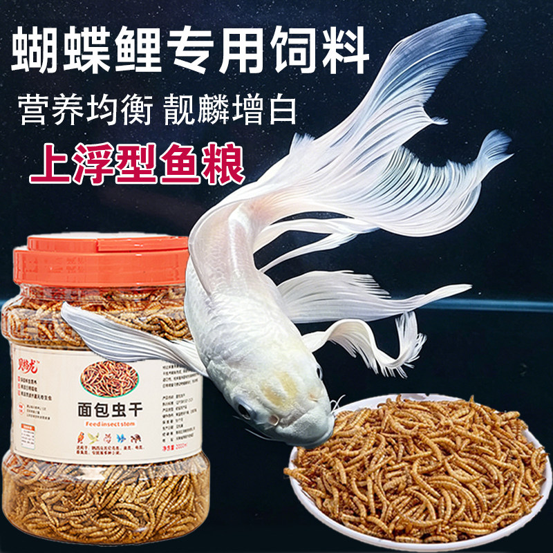 蝴蝶鲤专用饲料锦鲤鱼食泰狮金鱼鱼粮上浮增艳增白高蛋白面包虫干
