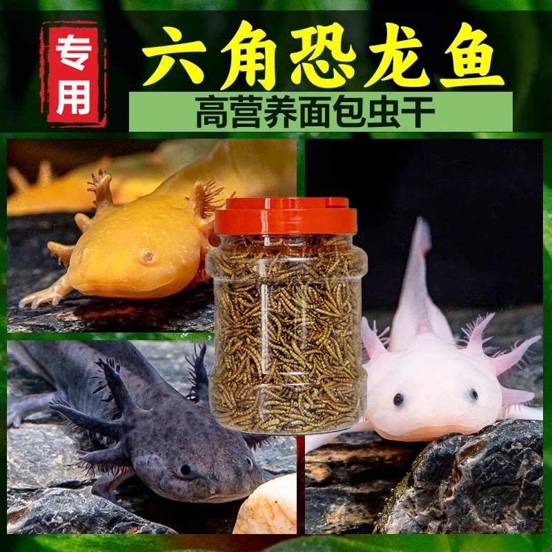 六角恐龙鱼饲料优选高蛋白面包虫