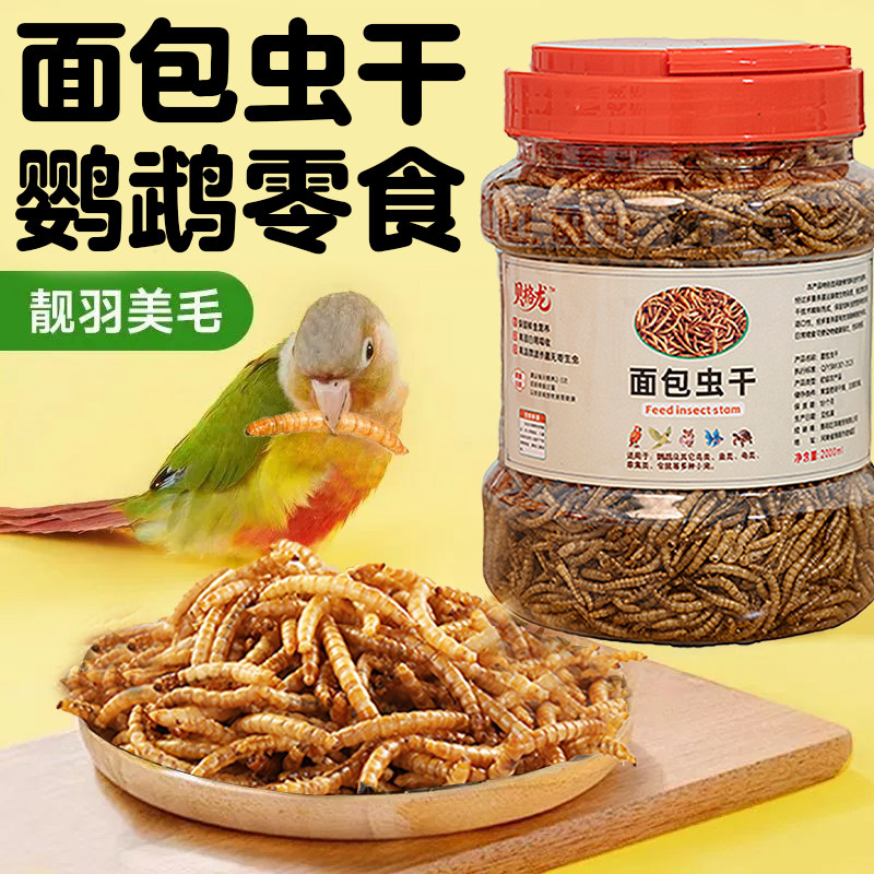 鹦鹉高蛋白面包虫干金丝熊粮食