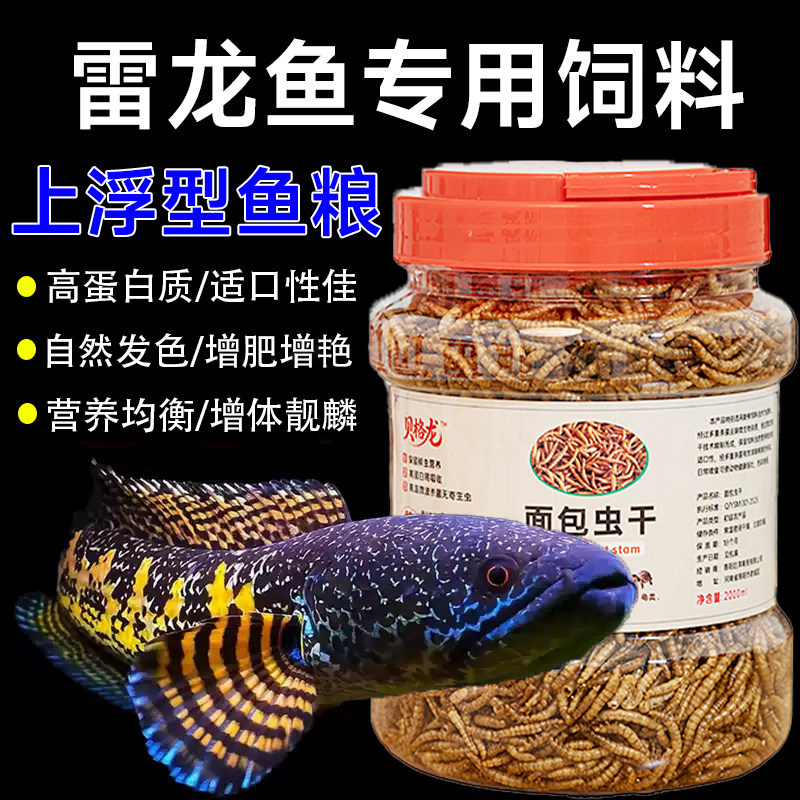 雷龙鱼饲料七彩阿萨姆黄金眼镜蛇奶茶高蛋白面包虫干虾干增色鱼食