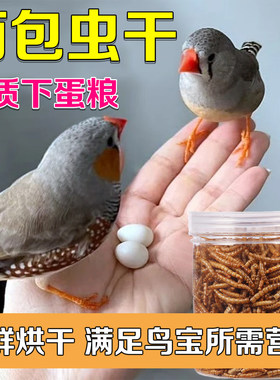 珍珠鸟面包虫干文鸟鸟粮零食