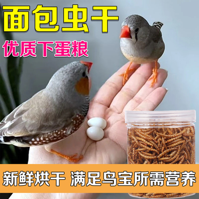 珍珠鸟面包虫干文鸟鸟粮零食