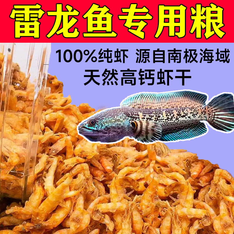 冻干南极磷虾雷龙鱼饲料高钙虾干虫干血鹦鹉地图鱼食锦鲤增色鱼粮