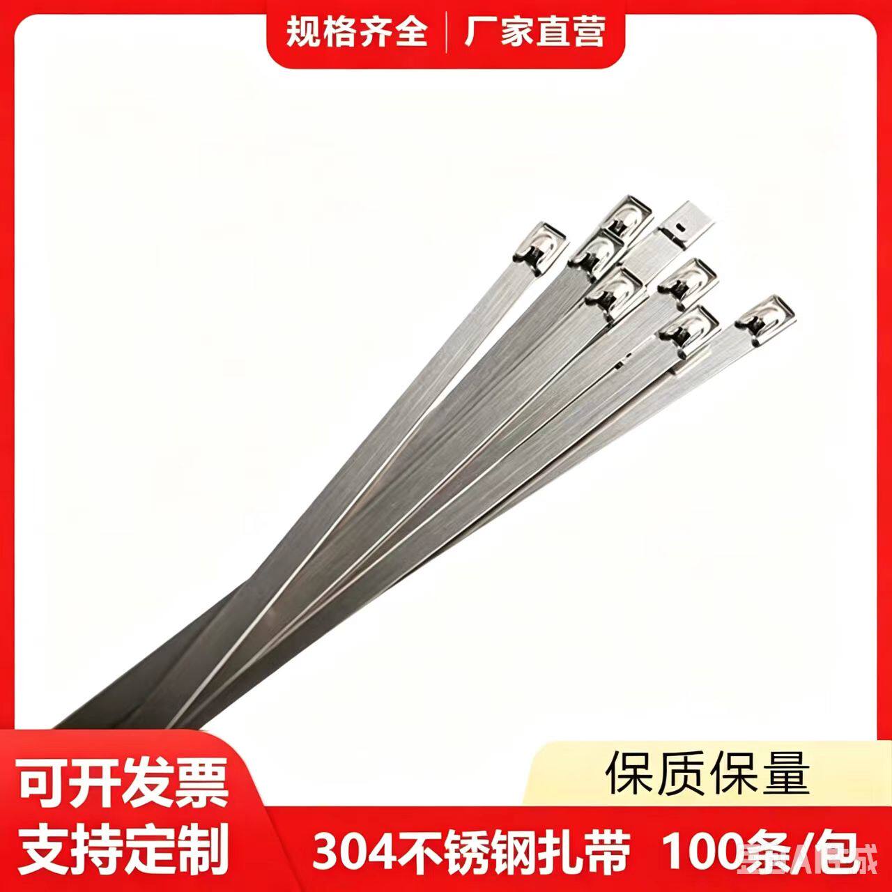 自锁式不锈钢扎带绑带固定器