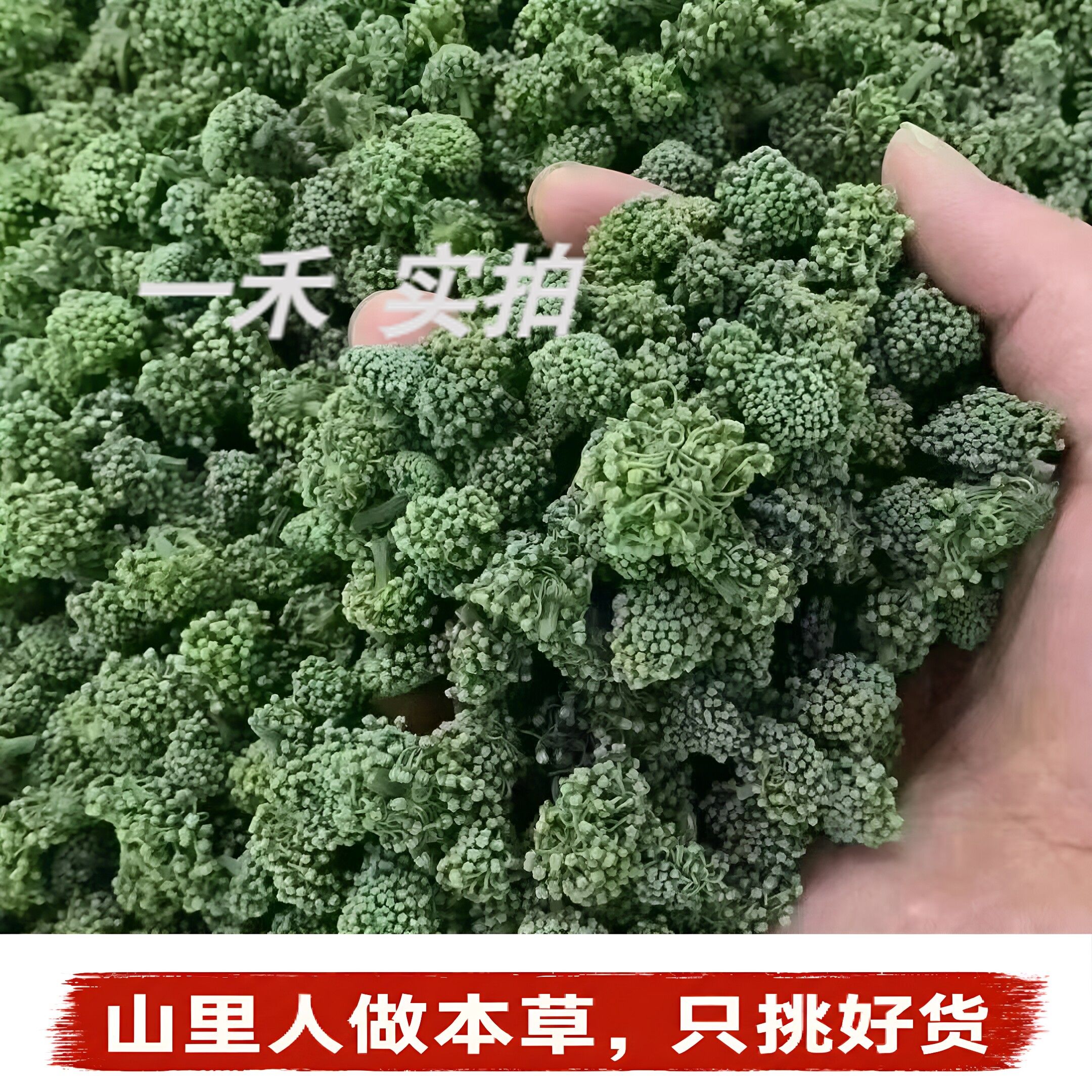 Flower云南文山新花特级三七花】田七花250g大朵四年头茬鲜青花蕾