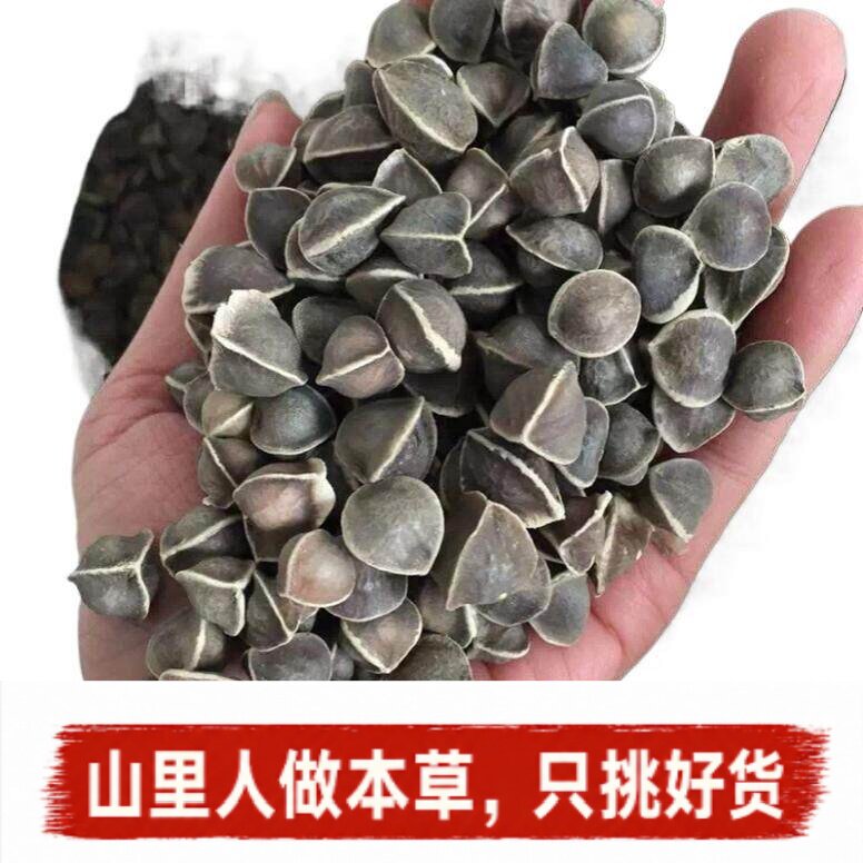 辣木籽】印度进口辣木子人工挑选正宗原产地印度黑籽非洲籽无熏硫