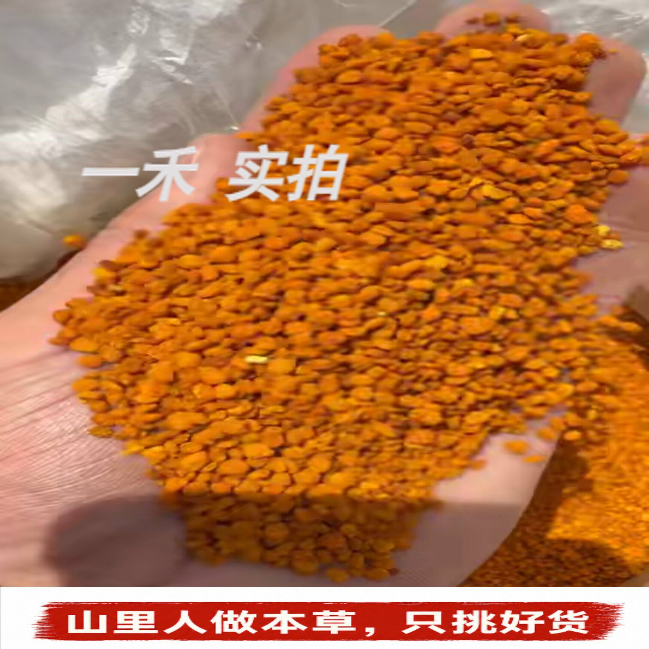 茶花粉】特级金黄茶花粉天然纯正选货蜂花粉熬夜气色搭蜂蜜500g