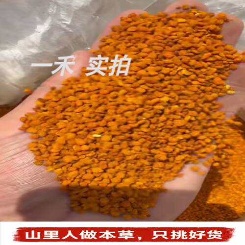 特级金黄茶花粉蜂花粉500g