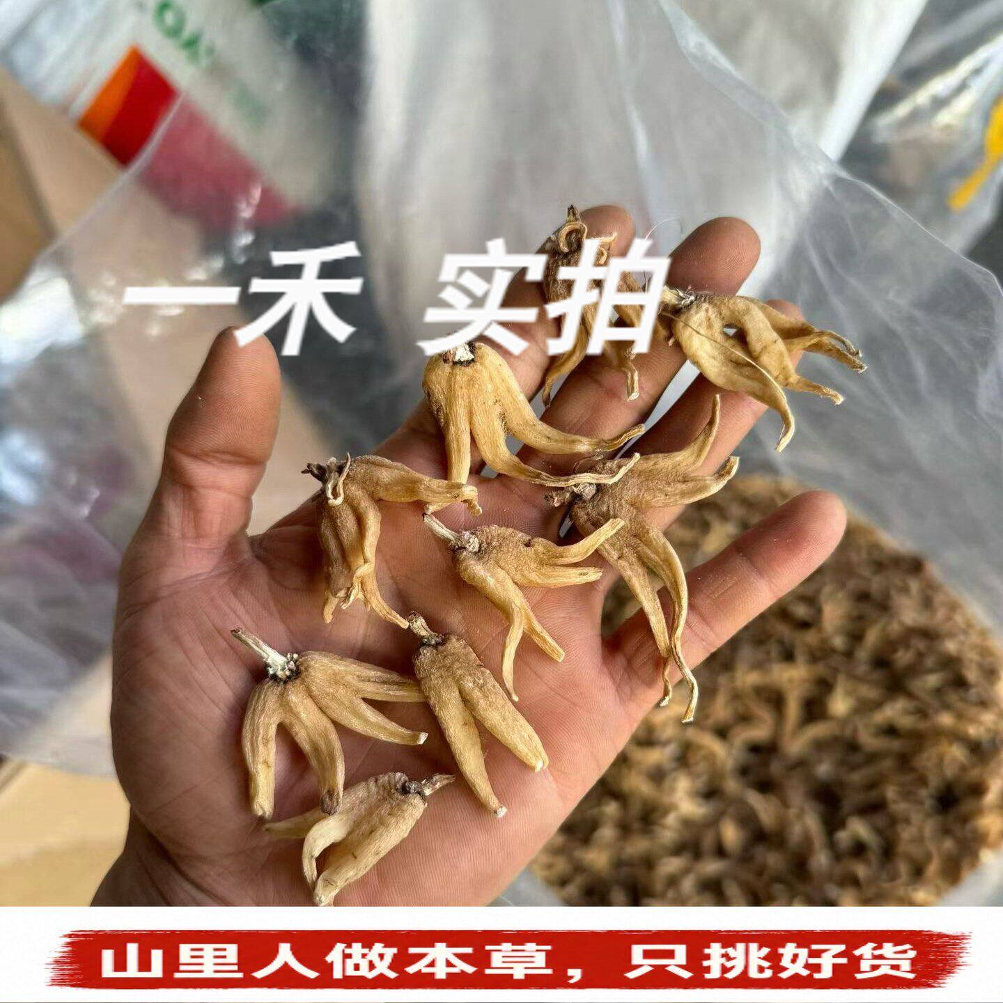 西藏手掌参】干货精选佛手参无硫手参掌参手儿参旺拉五指参250g