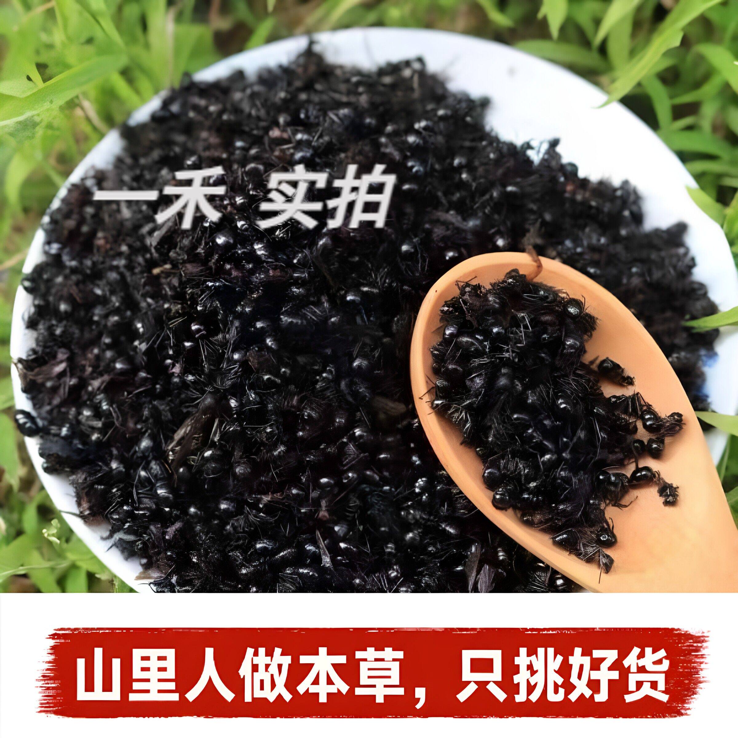 黑蚂蚁】大蚂蚁干  泡酒料 黑蚂蚁粉精选拟黑多刺蚁泡酒料