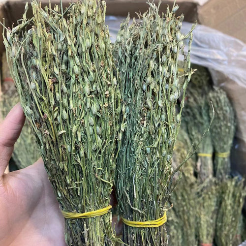 云南独脚金疳积草新货干货汤包