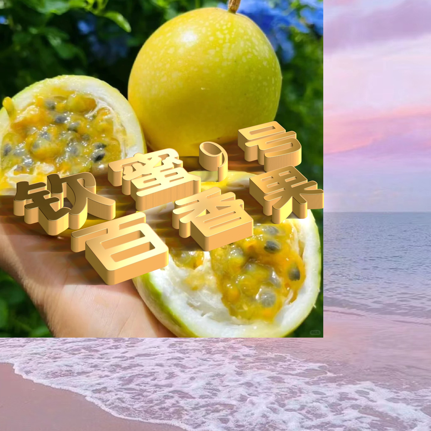 【果蟹集】钦蜜9号百香果 满满vc含量！