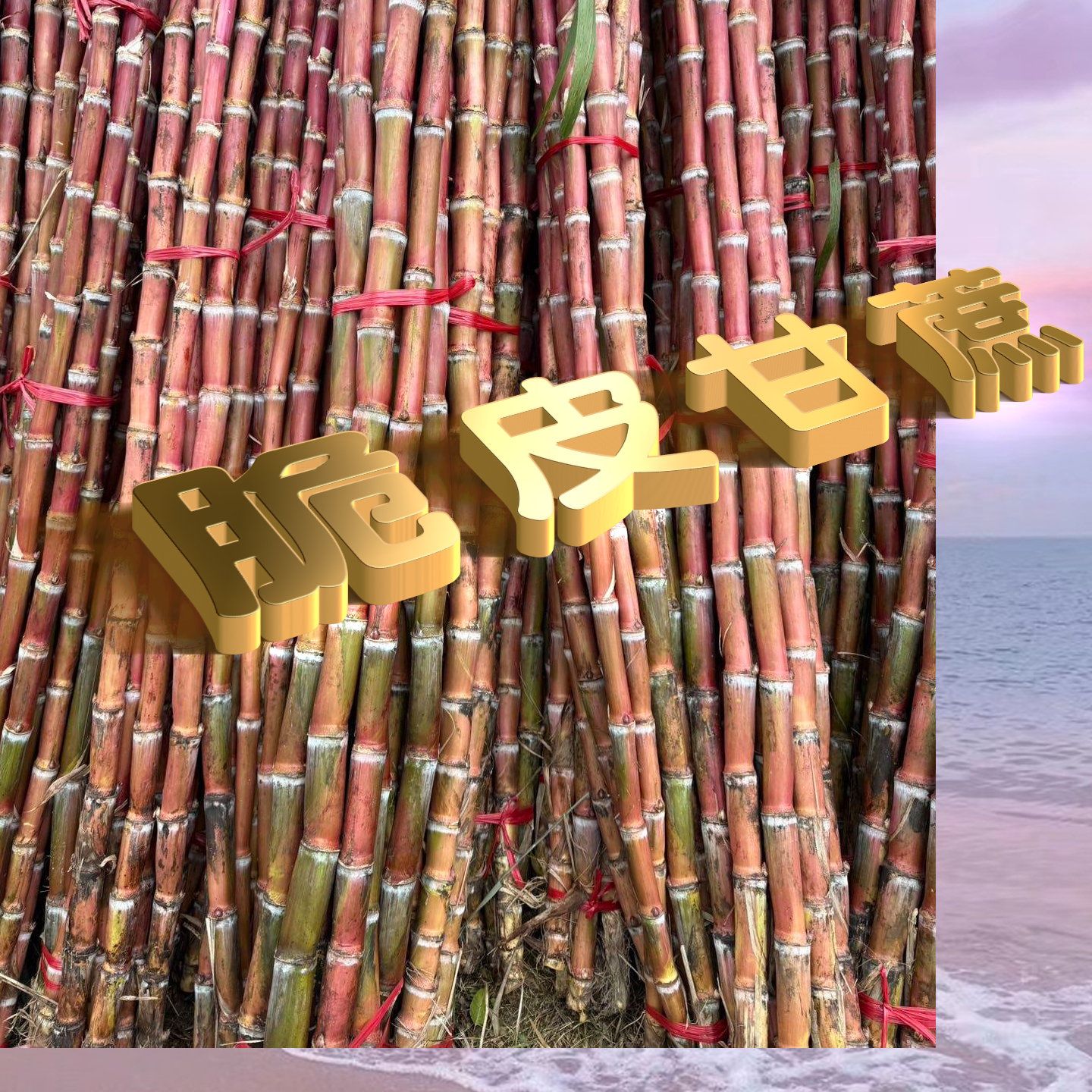 【果蟹集】脆皮甘蔗  两端发红，运输过程中出现氧化 9斤好吃甘蔗