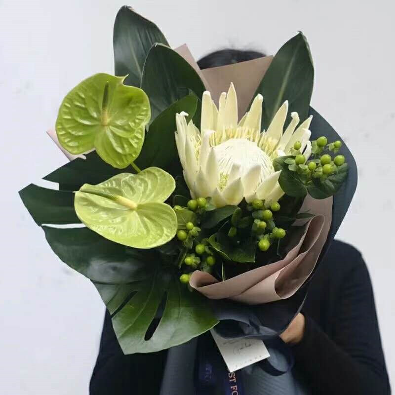 南非进口花白色帝王绿掌送领导男士北京上海广州深圳花店