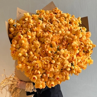 北京鲜花同城速递配送玫瑰生日成都上海杭州天津深圳广州南京香港