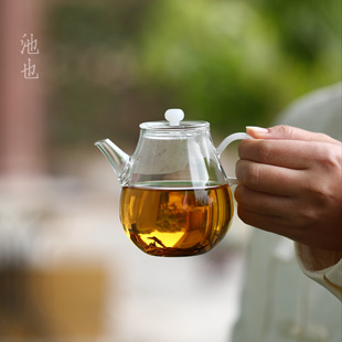 池也文旦壶高硼硅透明玻璃茶壶泡茶家用中式绿茶花茶泡茶器耐高温