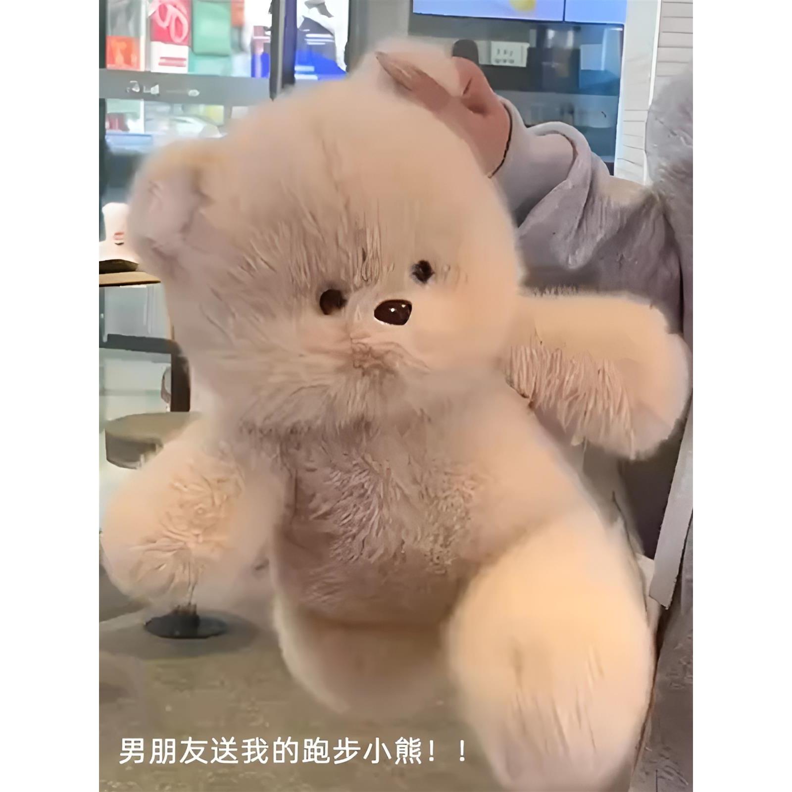 会跑步的小熊毛绒玩具男女孩生日礼物创意三花猫公仔动漫周边玩偶