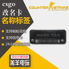 【24小时自动发货】csgo名称标签刀子1