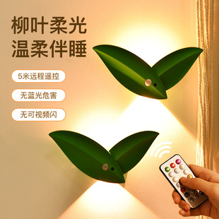 遥控充电人体感应灯高级感入户门口走廊过道小夜灯家用免布线壁灯