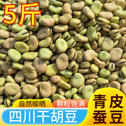 青皮干蚕豆新货5斤农家自种绿皮蚕豆青胡豆做油炸罗汉豆生绿胡豆