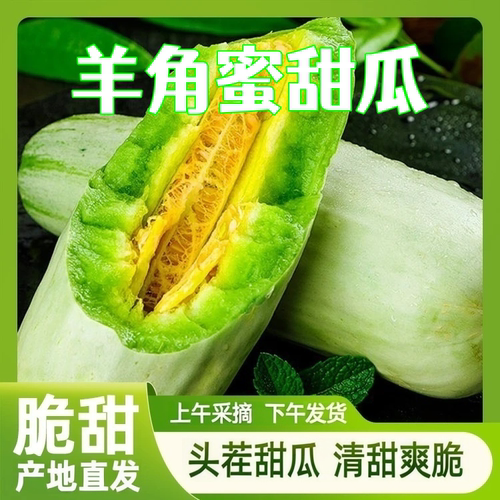 正宗山东羊角蜜甜瓜新鲜水果应季现摘头茬香瓜蜜瓜脆瓜整箱批发价