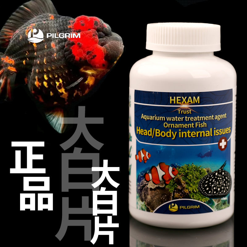 正品佩格大白片鱼药罗汉鹦鹉头洞凸眼七彩龙鱼内外寄肠炎白点净