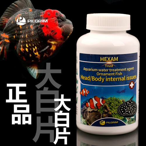 英国内寄大白片头洞腹水