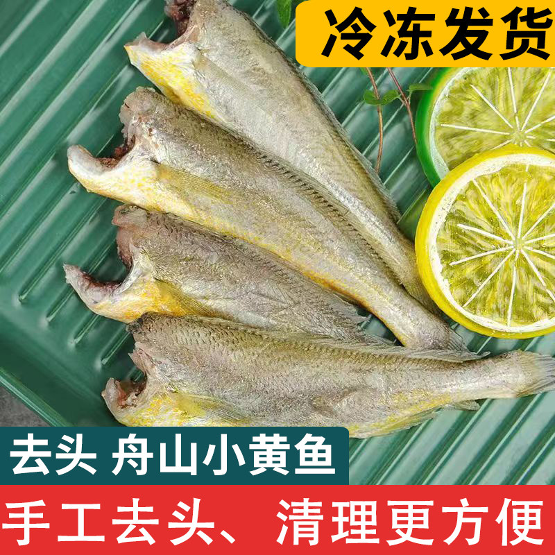 舟山特产去头小黄鱼无头黄花鱼图片