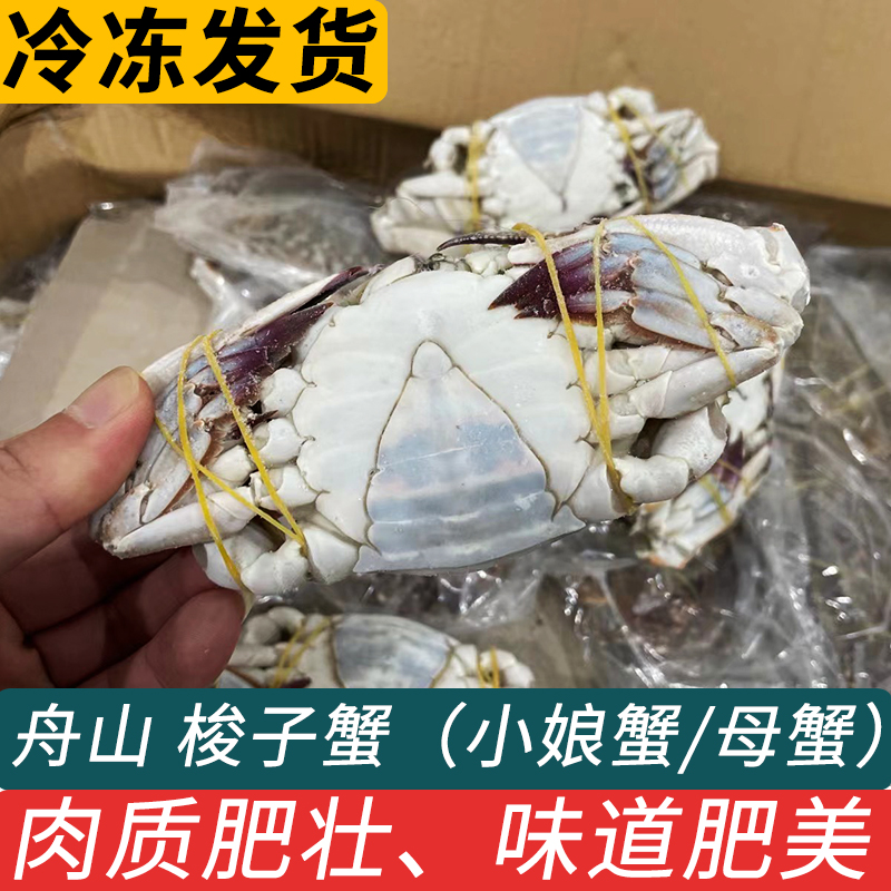 舟山梭子蟹二母蟹小娘蟹冻海蟹