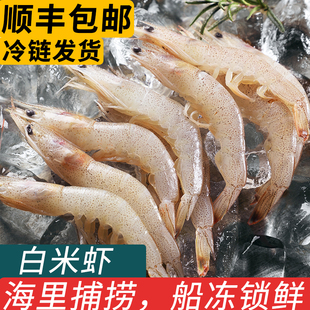 舟山白米虾小白虾毛虾深海捕捞新鲜活冷冻可生呛海虾商用水产食材