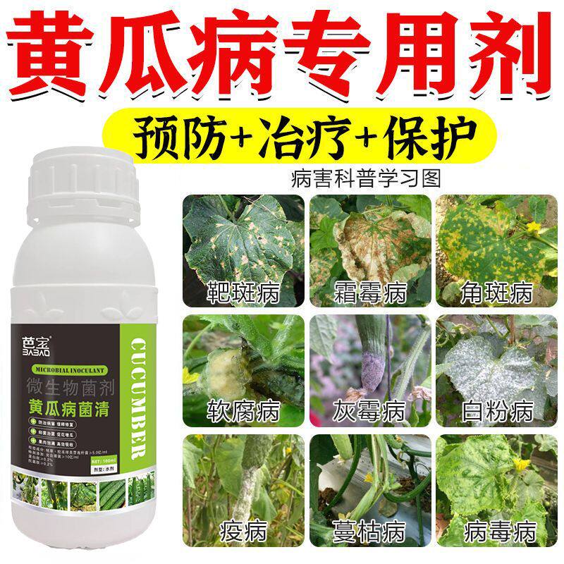 黄瓜专用药黄瓜病菌清角斑病靶斑病白粉病霜霉病灰霉病枯萎病毒病