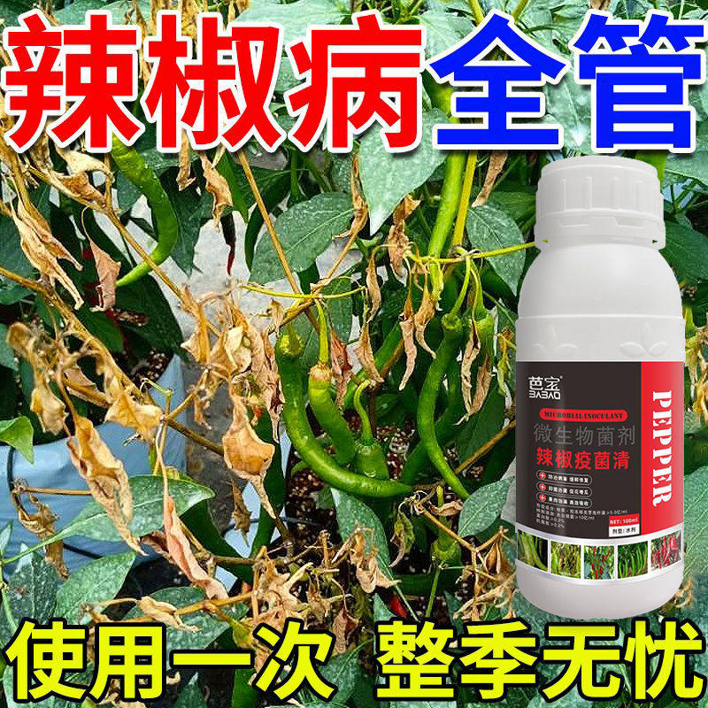 辣椒病害全治花皮烂果小米椒青椒红椒溃疡病青枯立枯黄枯病根腐