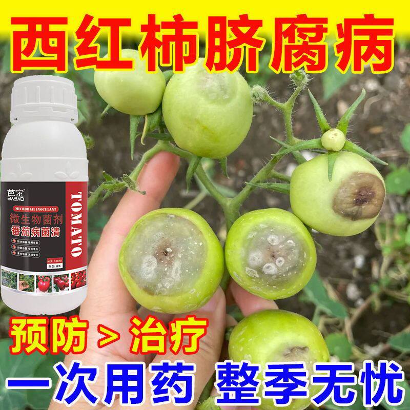 番茄病全治杀菌剂炭疽病溃疡病晚疫病炭疽灰霉病霜霉病专用叶斑