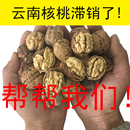 2026新货核桃云南薄皮纸皮老树孕妇坚果零食无漂干黑桃农家包邮