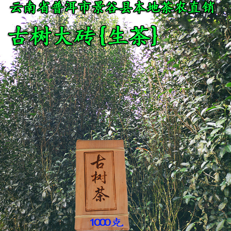 云南普洱茶砖茶古树砖茶生茶好喝