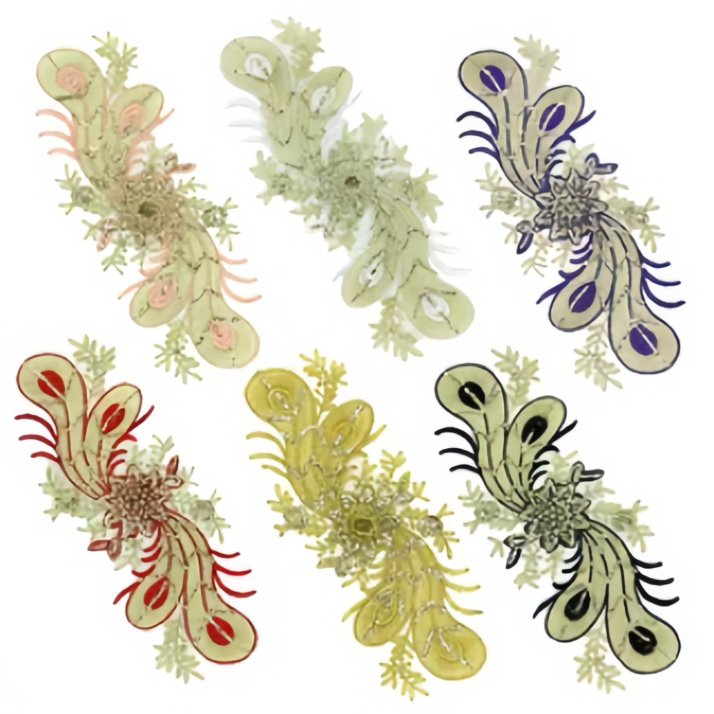 新款闪粉立体花卉羽绒家纺布贴