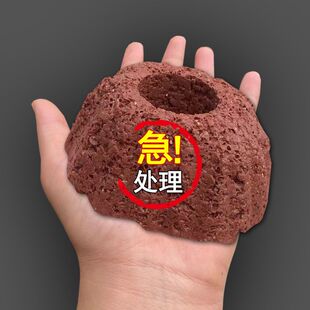 水草火山石定植环固定神器懒人全套装绿水培专用组合沉底培菌底座