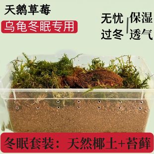 乌龟冬眠土爬宠椰土免泡型巴西龟草龟过冬窝沙土箱保暖苔藓饲养箱
